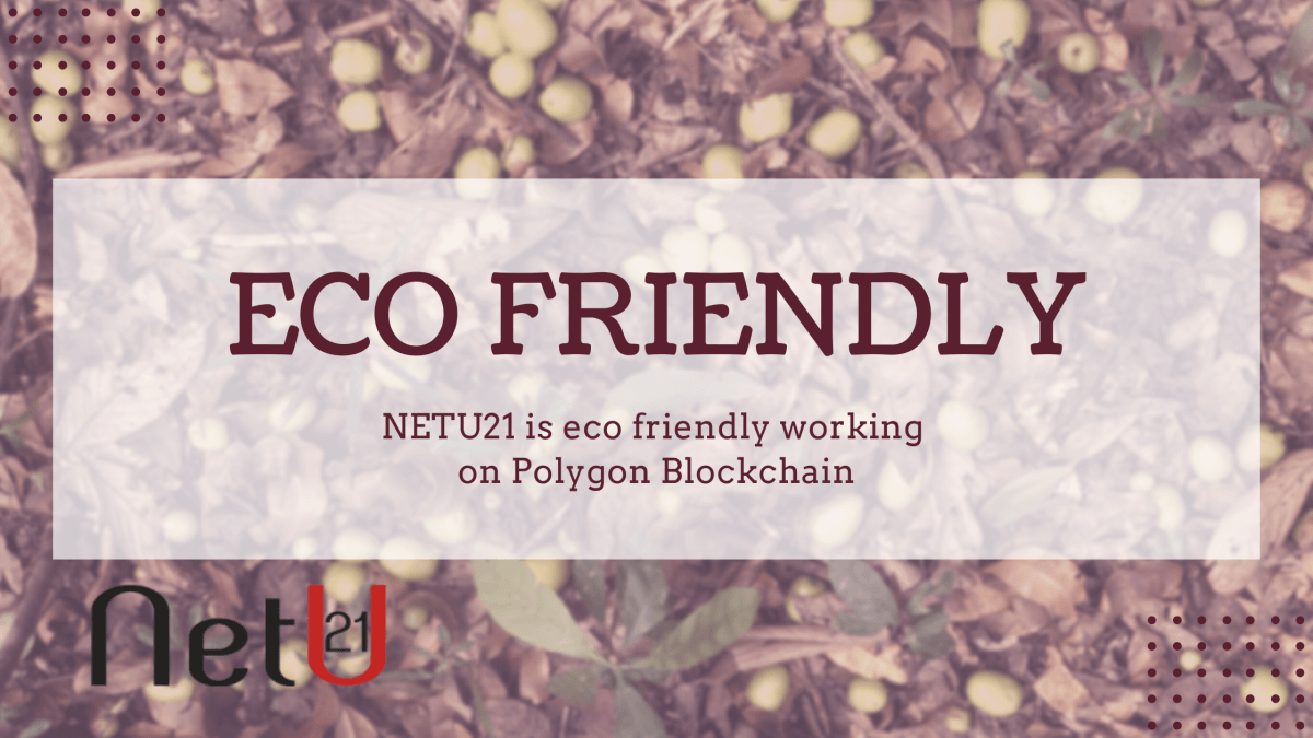NETU21 is eco friendly working on Polygon Blockchain | Blog NetU21 Marketplace 